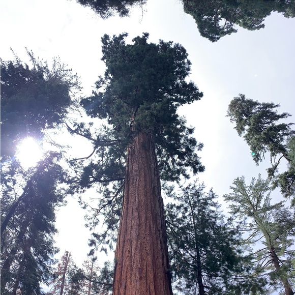 Meet your Posher, Kelly - Picture 7 of 7